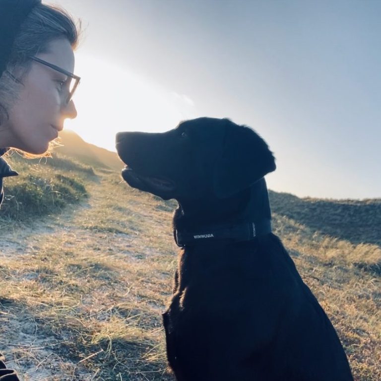 Systemisches Coaching für Menschen mit Hund